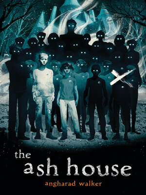 cover image of The Ash House